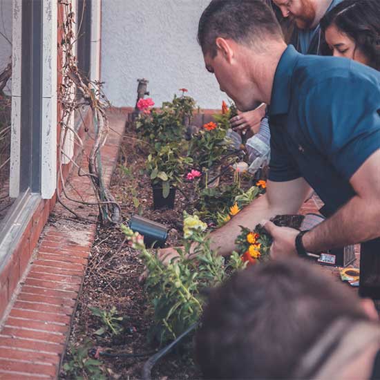 Ландшафтный дизайн